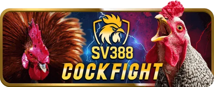 Cách 28win sử dụng dữ liệu