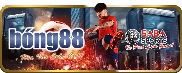 Màn hình hiển thị tỷ lệ cược được cập nhật liên tục theo thời gian thực tại 28win